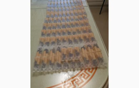 Продам високоякісні матки Карпатки