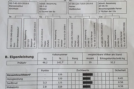 Пчоломатки Carnica - якісні та перевірені