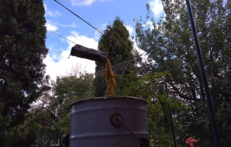 Продам бджоломатки породи Сірра Гірська Кавказька