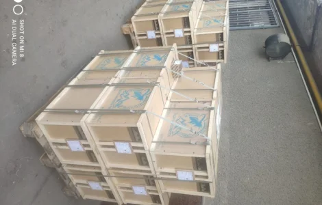 Пропонуються бджолопакети карпатської породи 2025 року