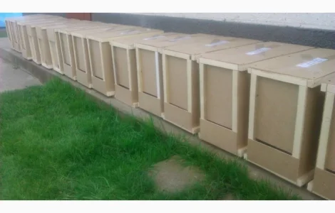 Сотові бджолопакети карпатка з доставкою