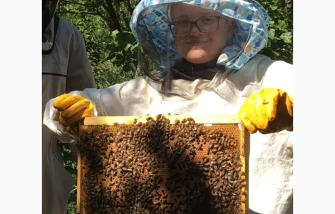 Продаются пчелопакеты Карника