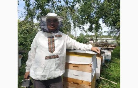 Продаются бджолопакеты карпатки и карніки
