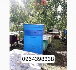 Продам бджолосім'ї