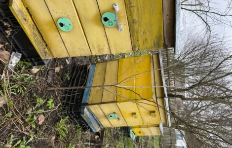 Продаються бджолосім'ї на різні рамки