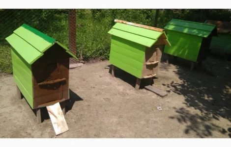 Вулики с пчелами на продажу