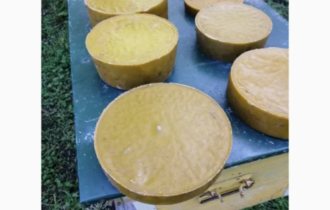 Продається діюча пасіка