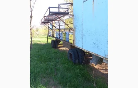 Пропонується прицеп для бджіл на базі Камаза