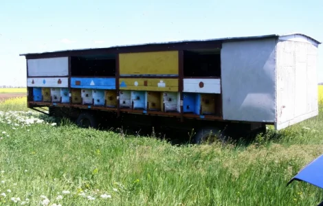 Продается павильон Колосок для пчелосемей