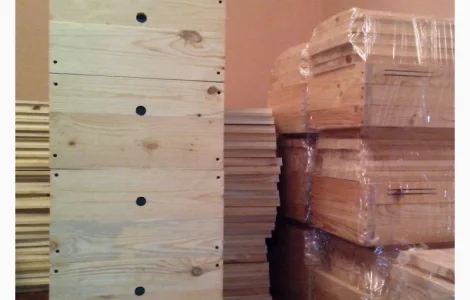 Вулик Дадан Корпусний