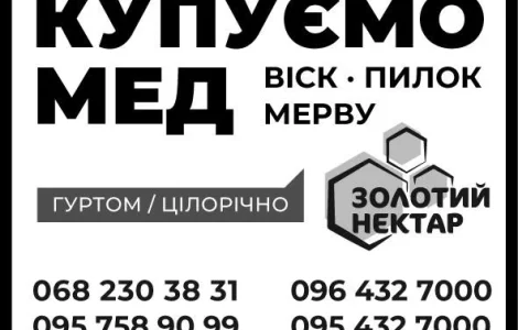 Куплю мёд оптом без антибиотиков