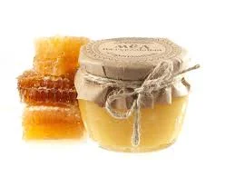 Закупаем мед оптом