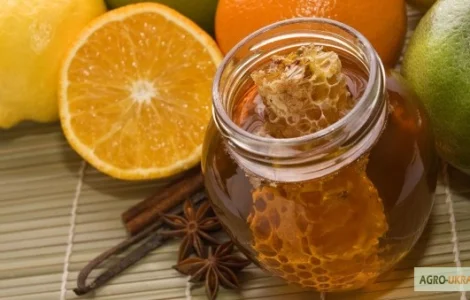 Купуємо мед оптом без антибіотиків