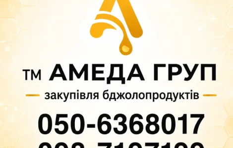 Купуємо мед соняшника оптом кг АМЕДА ГРУП