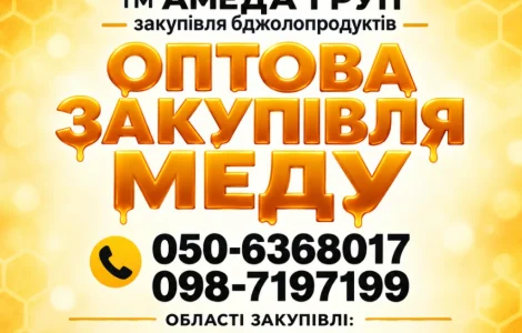 Закупка меда оптом у пасечников АМЕДА ГРУП
