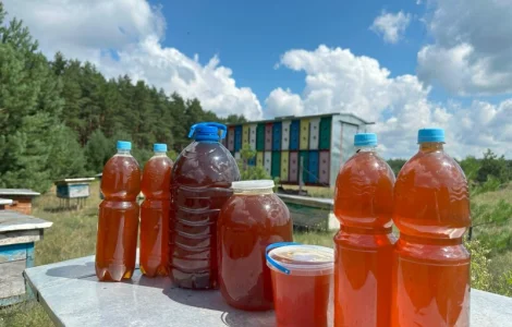 Мед из лесной пасеки в продаже