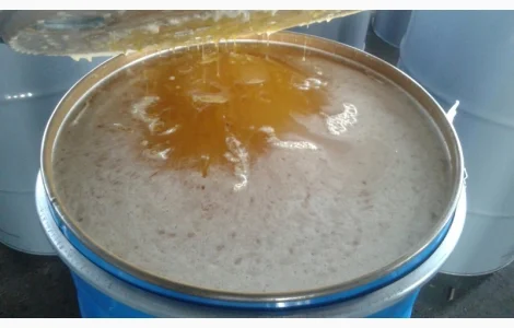 Продажа меда оптом от производителей и поставщиков от 20 тонн