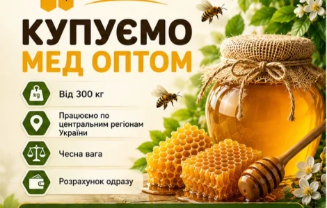 Купуємо мед від 300 кг. ОПТ-МЕД