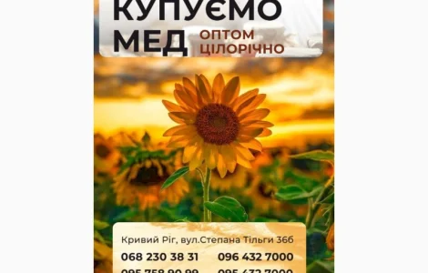 Закупівля гречаного меду оптом