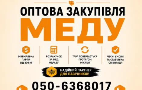 Куємо мед оптом АМЕДА ГРУП