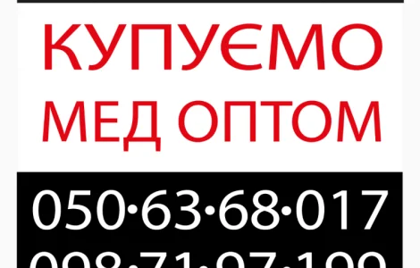 Закупка меда от 300 кг в Полтаве