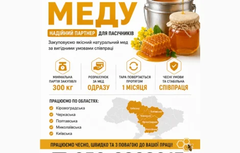 Оптовая закупка меда подсолнечного у населения АМЕДА ГРУП