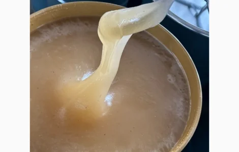 Куплю мед оптом от 10 тонн