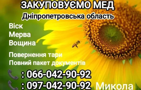 Закупаем мед оптом