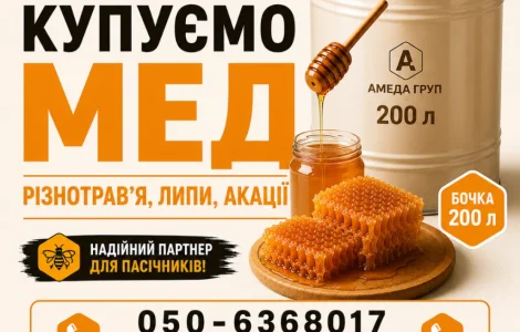 Мед оптом купуємо на постійній основі АМЕДА ГРУП