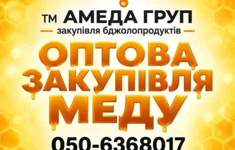 Купаем мед подсолнечника АМЕДА ГРУП