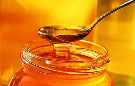 Закупаем мед оптом без антибиотиков