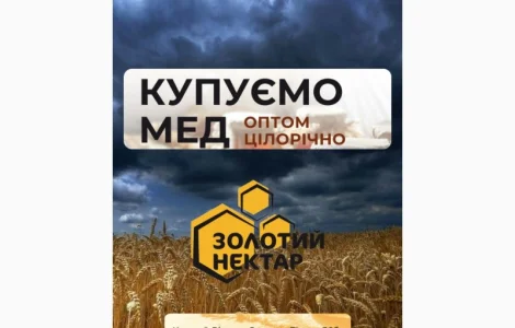 Закупаем мед оптом без антибиотиков