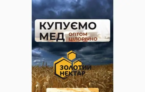 Купуємо мед