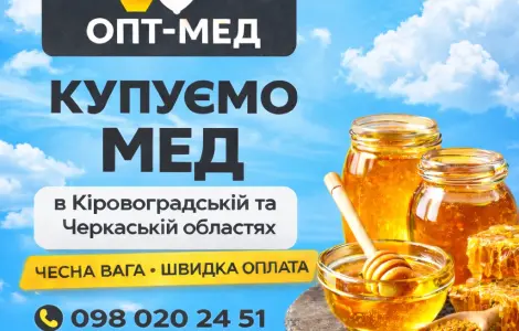 Закупка меда из ПОДСОЛНЕЧНИКА в центральных регионах. ОПТ-МЕД