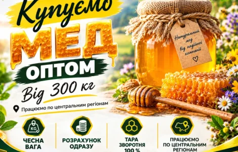 Закупка меда из СОНЯХА в центральных регионах. ОПТ-МЕД