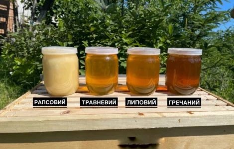 Продаж меду 2025 року