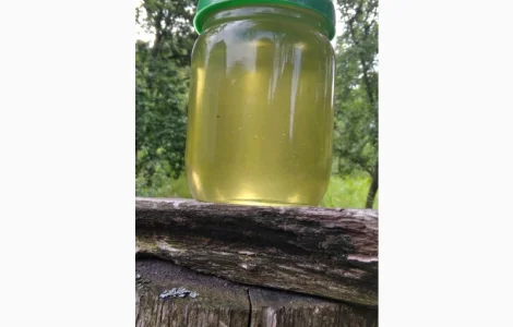 Продам мед з власної пасіки 2024 року – акацієвий та липовий