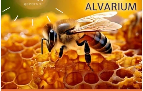 Куплю мед без антибиотиков