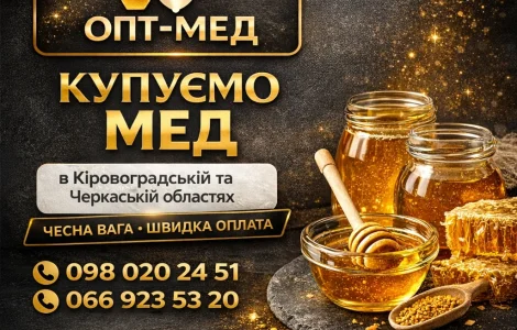Купуємо мед оптом у центральних областях