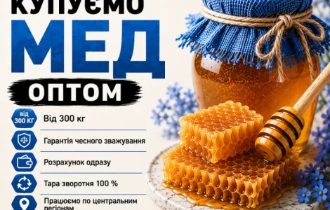 Закупаем МЕД ОПТОМ в центральных областях