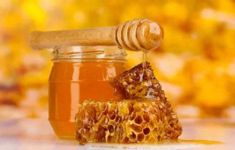 Компания 'БИО ЛЕНД' покупает мед оптом