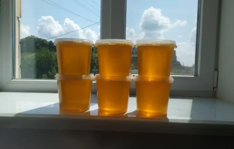 Продаж меду різних сортів