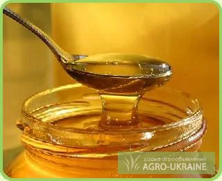 Куплю мёд различных сортов