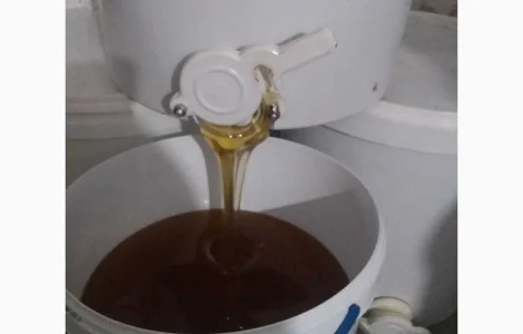 Продается мед разнотравья