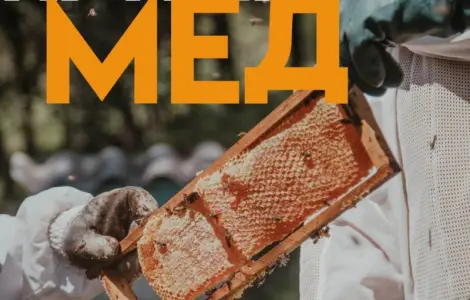 Куплю мед від 300 кг Черкаська область