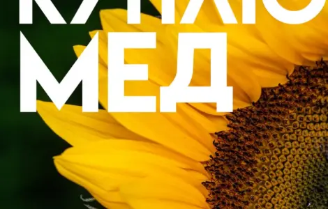 КУПЛЮ МЕД в Полтавской области