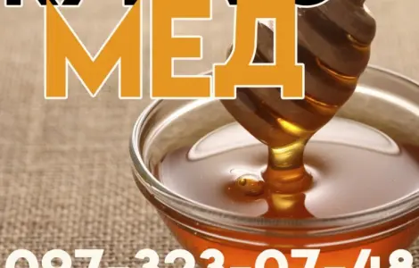 Куплю мед от 300 кг Кировоградская и Черкасская обл