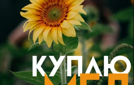 Закупка меда в Кировоградской области