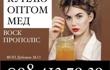 Закупаем мед оптом