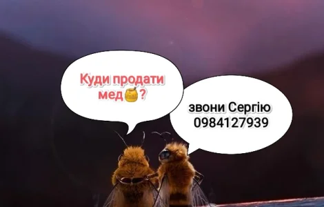 Куплю мед от 300 кг без антибіотиків